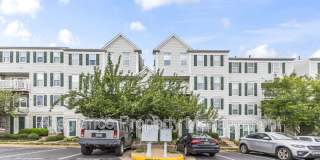 45490 Whistling Ter Gallery 1