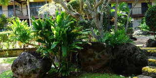 Coconut Inn Gallery 24