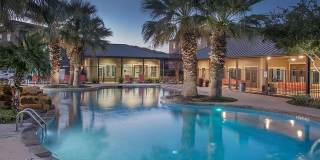 The Palmera Gallery 18