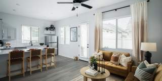 Canopy at Sundance Gallery 32