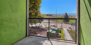 The Lex The Lex Gallery 50