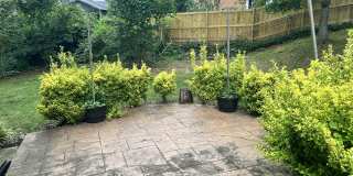7908 JANSEN Court Gallery 11