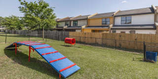 Collins Park Gallery 8
