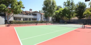 Windridge Gallery 25