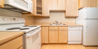 Sun Cliffe Gallery 1