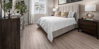 TerraLane on Cotton Gallery 5