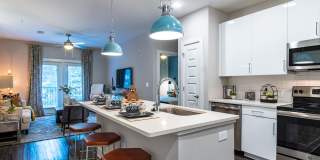 Cortland at the Hill Gallery 4