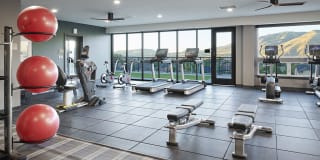 Epoque Golden Gallery 20