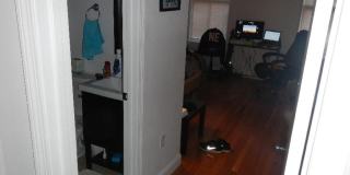 Nice 2 bed near Northeasterm Gallery 5