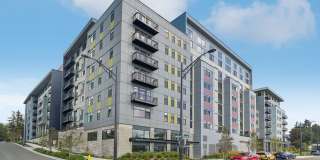 Vicino Bellevue Gallery 1