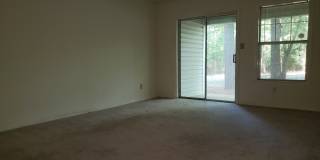 Coming Soon! Spacious 2BR, 2BA Condo in Desirable Chapel Hill Community Gallery 8