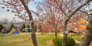 Kingsley Commons Gallery 4