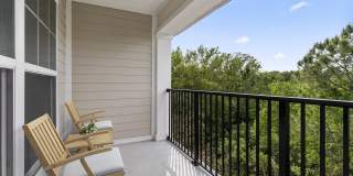 Horizon Wiregrass Ranch Gallery 13
