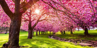 835 Carroll Street Gallery 13