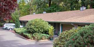 Forest Canyon Village Apartments Gallery 7