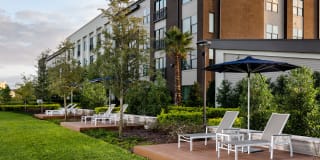 Arcadia Dr. Phillips Arcadia Dr. Phillips Gallery 25