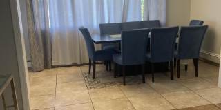 538 Ocean Boulevard Gallery 3