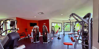 TGM Bermuda Island Gallery 18