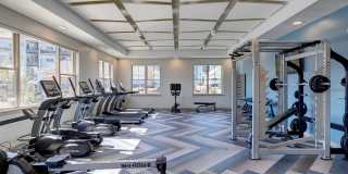 Traders Row Gallery 17