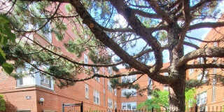 2410 W Farragut Avenue Gallery 1