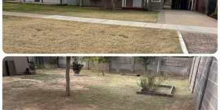 Cottage in the Wilbur Historical District in Mesa Gallery 1