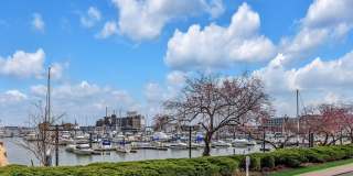 621 PONTE VILLAS N unit: 161 621 PONTE VILLAS N unit: 161 Gallery 2