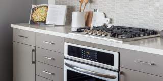 The Merian Gallery 93