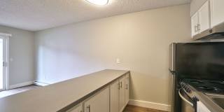 The Zimmer Gallery 8