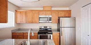 Millennium Park Gallery 16