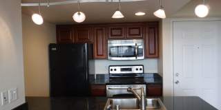 Newly Remodeled Downtown Stunner - Arlington Towers! Gallery 1