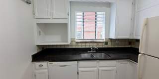 Classic Wash Park Gem with Garage, Finished Basement & Stunning Great Room Addition Gallery 4