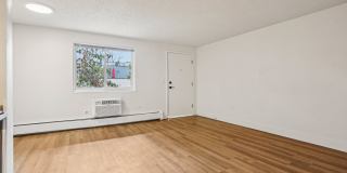534 Washington Gallery 10