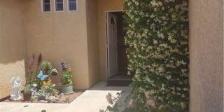 8523 Barberry Gallery 4