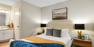 The Forest Gallery 6