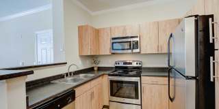 Addison at Cherry Creek Gallery 18