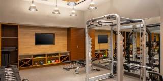 Insignia On M Gallery 9