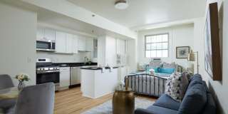 Cozy Studio Steps from Meridian Hill Park! Gallery 1