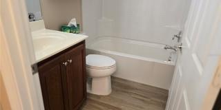 5646 SUNSET FALLS Drive Gallery 15
