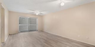 Cozy 2 Bed 1.5 Bathroom in Temple Terrace Gallery 14