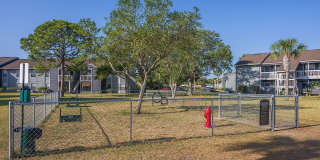 Lake Pointe Gallery 33