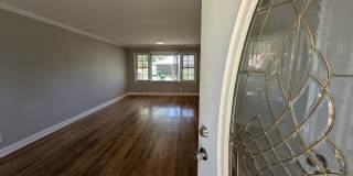 Updated Open-Concept with Sunroom & Finished Basement Space Gallery 3