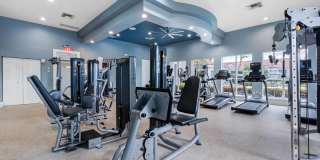 The Palms of Doral Gallery 62