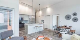 Janus Apartments Gallery 1
