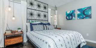 Starburst Starburst Gallery 13