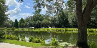 619 Front Street, Unit 3104, Celebration, FL 34747 Gallery 16