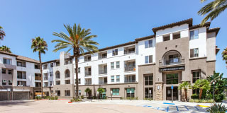 Griffis Mission Valley Gallery 24