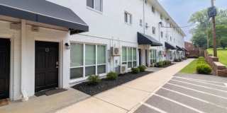 The Meadows Gallery 2