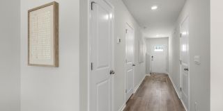 4118 Hobblebush Drive Gallery 7