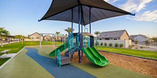 Canopy at Sundance Gallery 69