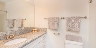 Sussex Downs Gallery 11